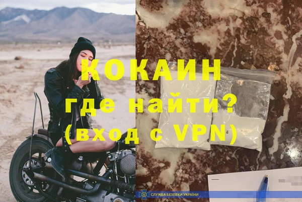 ешки Гусев