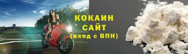 ешки Гусев