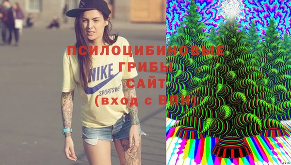 ешки Гусев