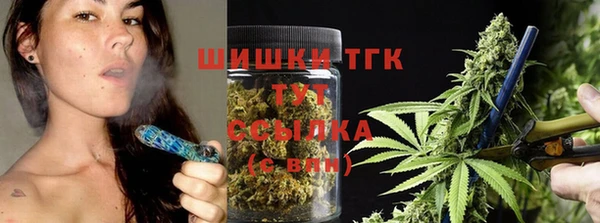 apvp Гусь-Хрустальный