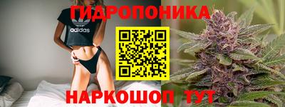 амф Кимры