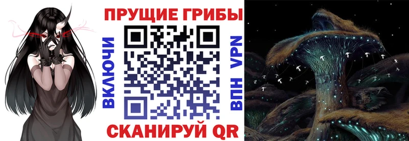 Галлюциногенные грибы прущие грибы  даркнет сайт  МЕГА ссылки  Назарово 